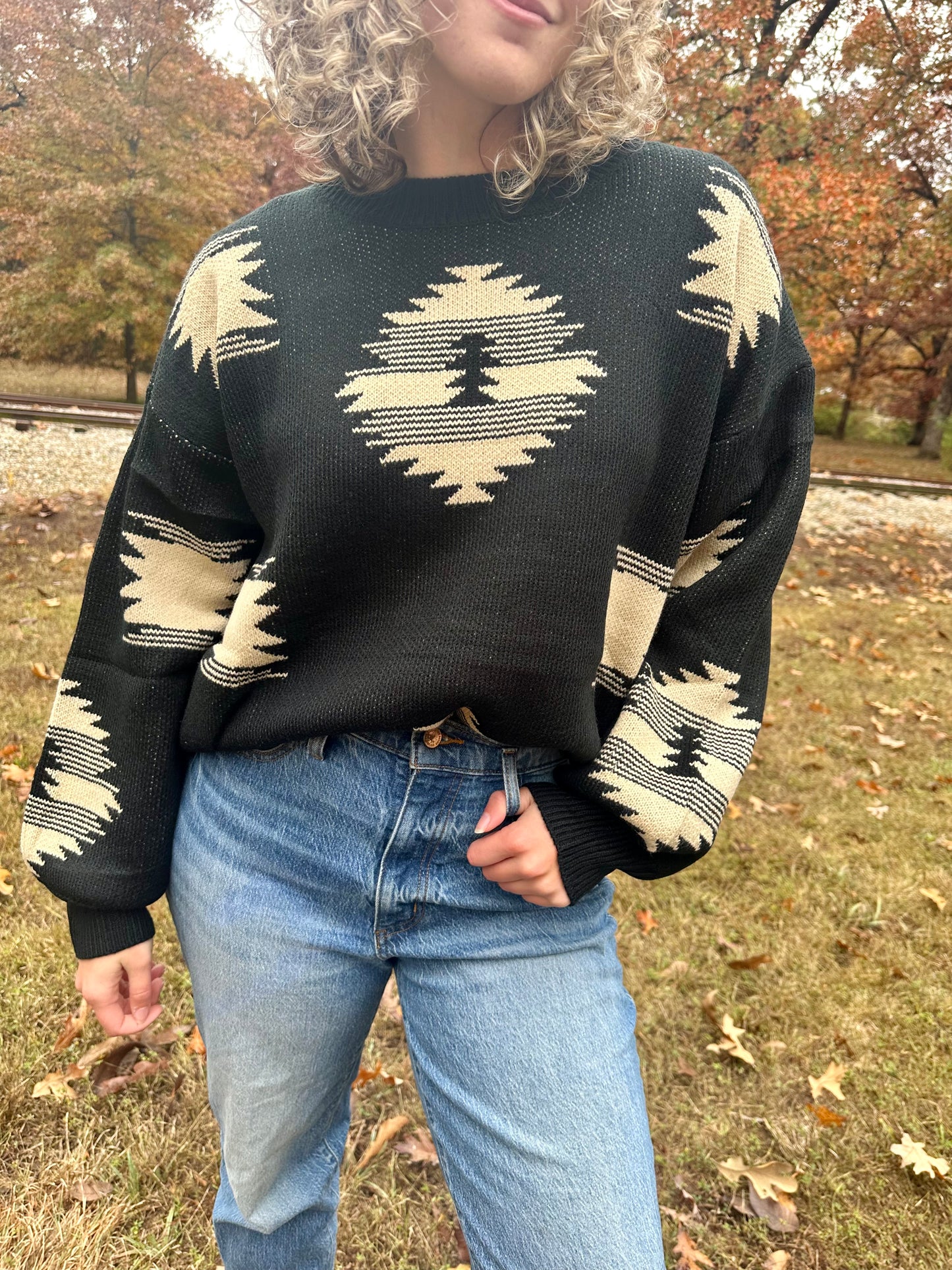 The Paint It Aztec Sweater