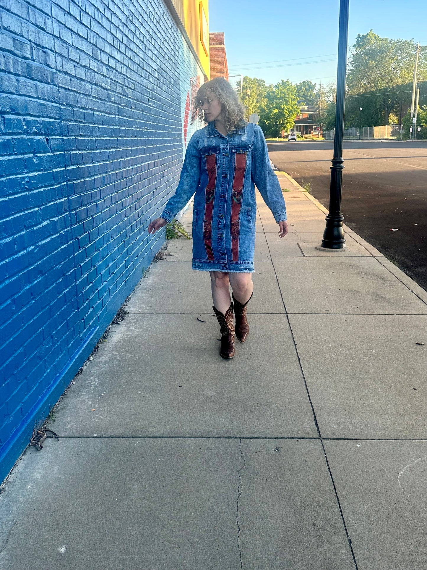 The Vintage Rodeo Denim Dress