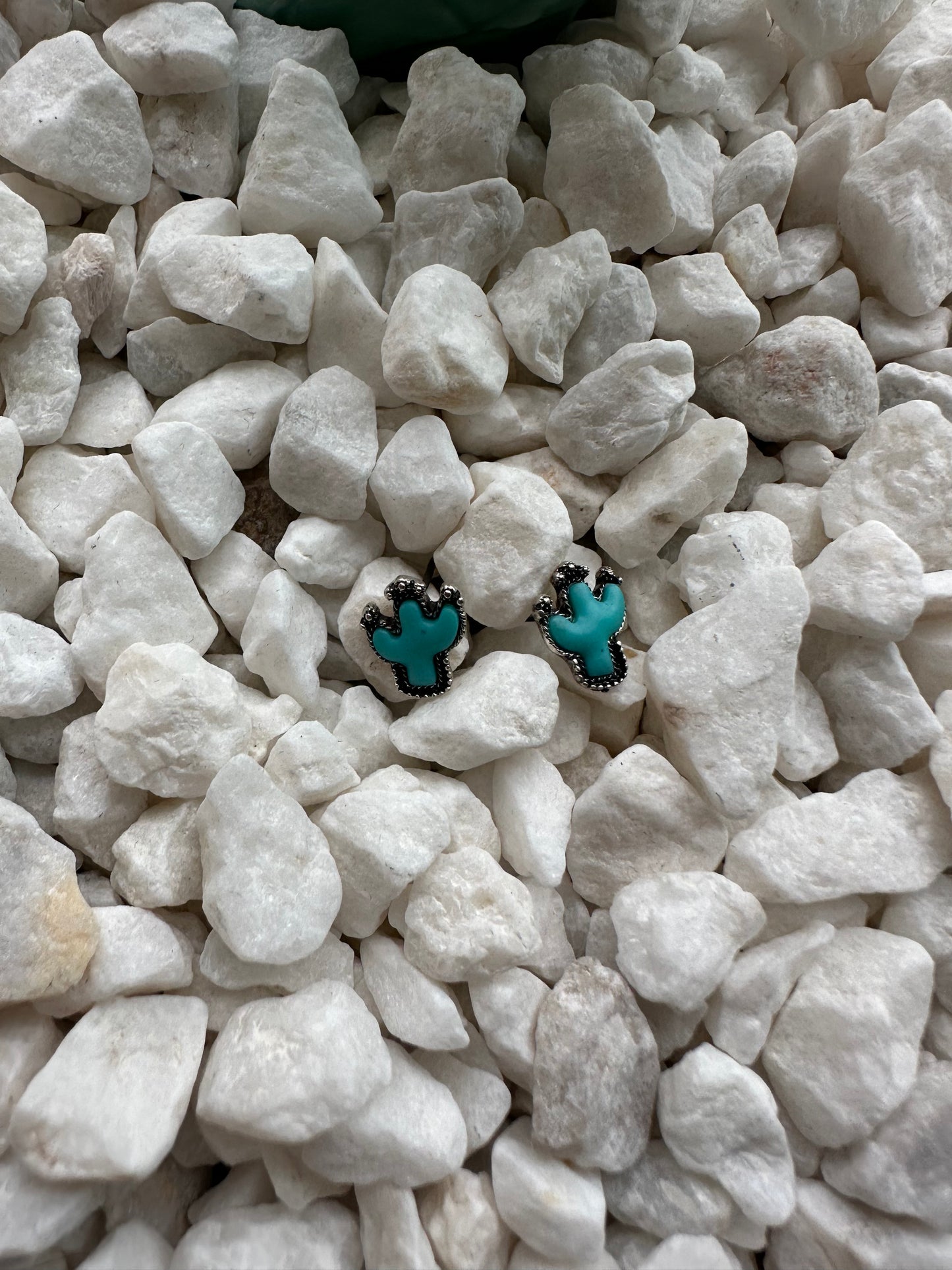 Turquoise Cactus Studs